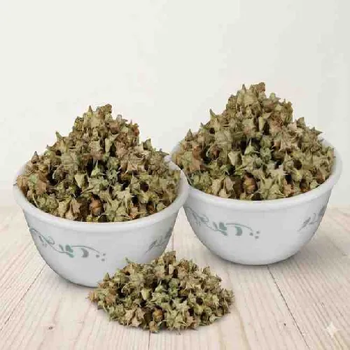 গোখরু - Gokshura